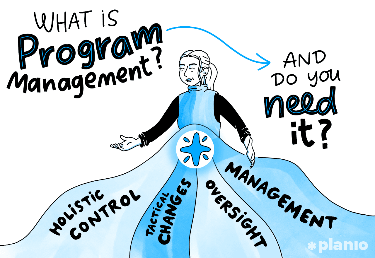 Title what is program management